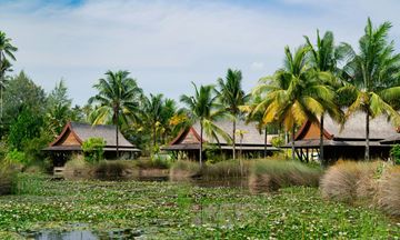 The Sanchaya