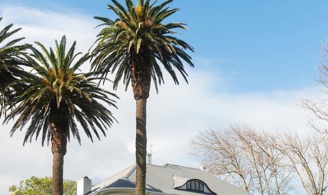 Palm House Boutique Hotel and Spa Exterior