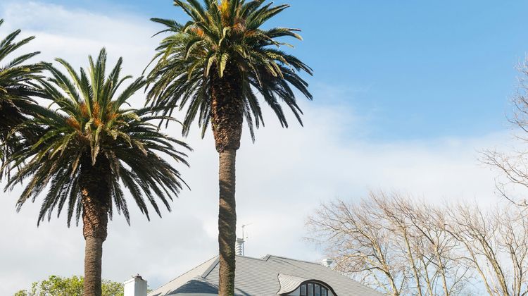 Palm House Boutique Hotel and Spa Exterior