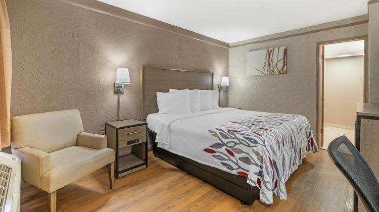 Red Roof Inn Tampa Bay - St Petersburg Room