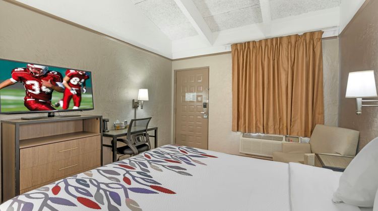 Red Roof Inn Tampa Bay - St Petersburg Room
