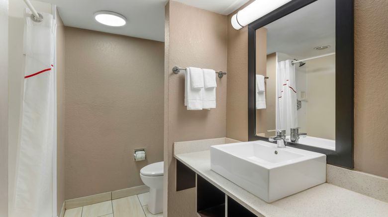 <b>Red Roof Inn Tampa Bay - St Petersburg Room</b>. Images powered by <a href="https://www.leonardoworldwide.com/" title="Leonardo Worldwide" target="_blank">Leonardo</a>.
