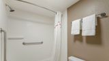 Red Roof Inn Tampa Bay - St Petersburg Room
