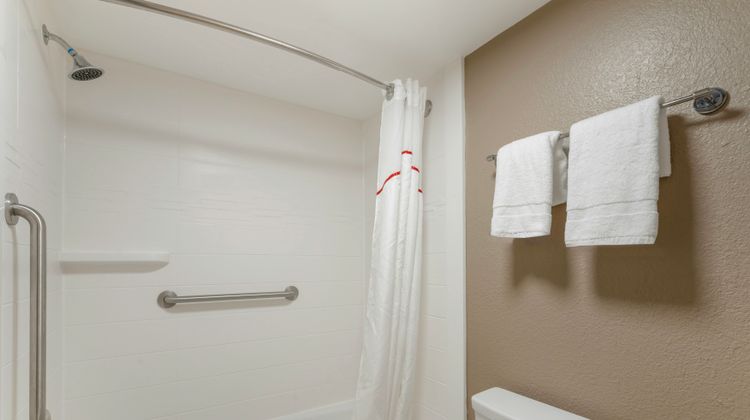 Red Roof Inn Tampa Bay - St Petersburg Room