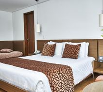 Hotel Poblado Alejandria Room