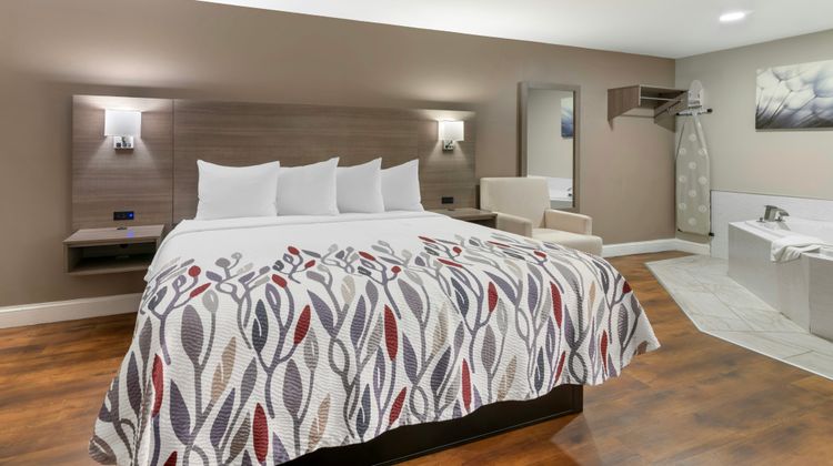 Red Roof Inn & Suites Swansea Room
