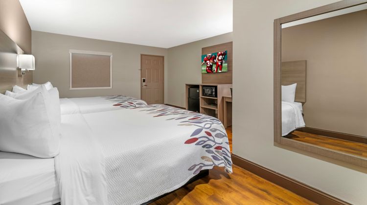 Red Roof Inn & Suites Swansea Room
