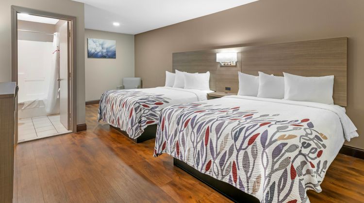 Red Roof Inn & Suites Swansea Room