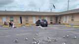 <b>Economy Inn Other</b>. Images powered by <a href="https://www.leonardoworldwide.com/" title="Leonardo Worldwide" target="_blank">Leonardo</a>.