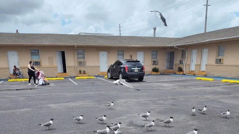 <b>Economy Inn Other</b>. Images powered by <a href="https://www.leonardoworldwide.com/" title="Leonardo Worldwide" target="_blank">Leonardo</a>.