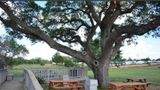 Executive Inn & Suites Cuero Other