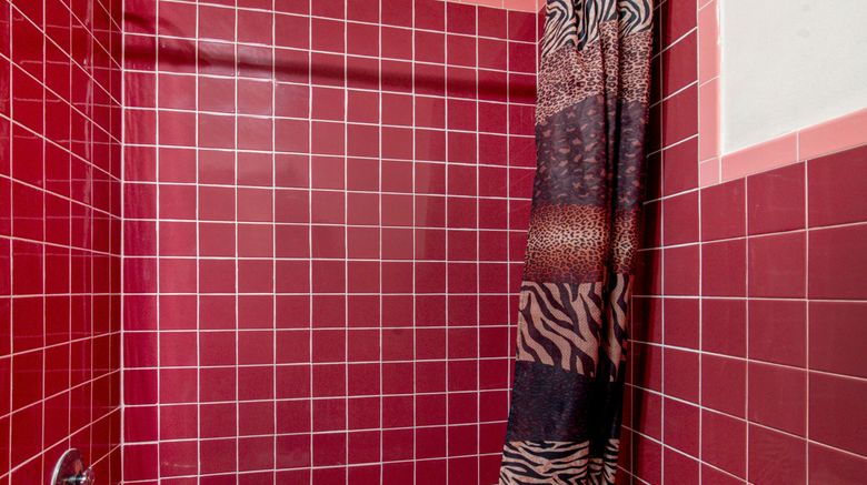 <b>OYO Hotel Dalton PA I-81 Room</b>. Images powered by <a href="https://www.leonardoworldwide.com/" title="Leonardo Worldwide" target="_blank">Leonardo</a>.