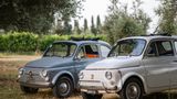 <b>Castello Banfi-Il Borgo Other</b>. Images powered by <a href="https://www.leonardoworldwide.com/" title="Leonardo Worldwide" target="_blank">Leonardo</a>.