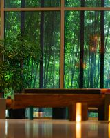 The Anandi Hotel and Spa