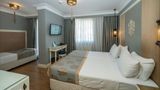 Raymond Blue Hotel Room