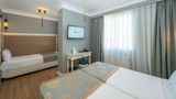Raymond Blue Hotel Room