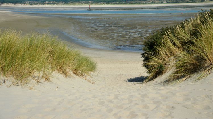 Holiday Inn Resort Le Touquet Other