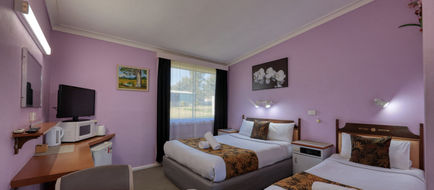 Bushmans Retreat Motor Inn Room
