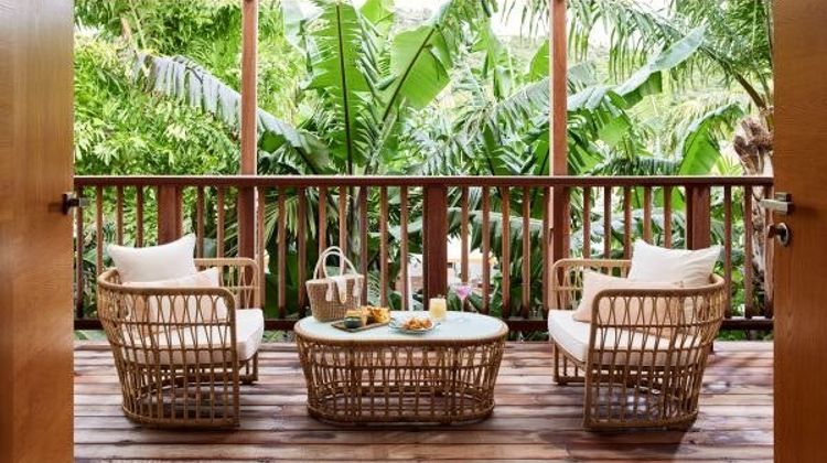 Tropical Hotel Room
