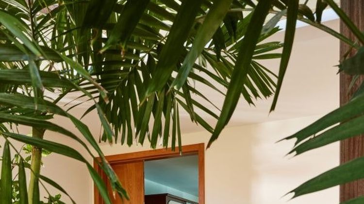 Tropical Hotel Meeting