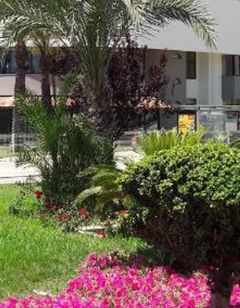 Cender Hotel