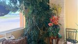 Regal Inn Coffeyville Lobby