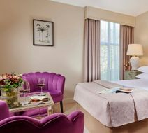 Ariel Hotel Room