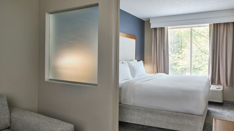 SpringHill Suites Atlanta Alpharetta Room