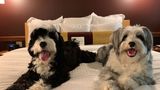 <b>Willows Lodge Other</b>. Images powered by <a href="https://www.leonardoworldwide.com/" title="Leonardo Worldwide" target="_blank">Leonardo</a>.