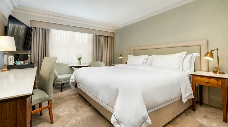 Brooks Hotel Room