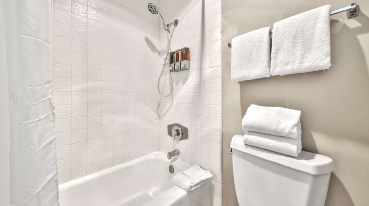 Forest Suites Resort Room