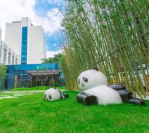 Holiday Inn Express Ya'An City Center Exterior