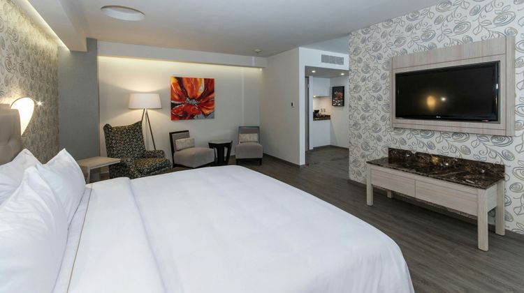 Holiday Inn Express Mexico-Toreo Suite