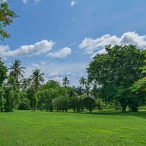 Kahavadi Chiang Rai, Curio Collection