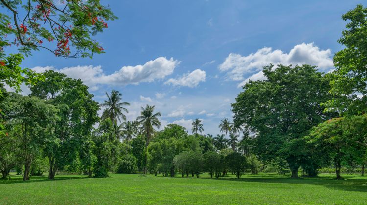 Kahavadi Chiang Rai, Curio Collection Exterior