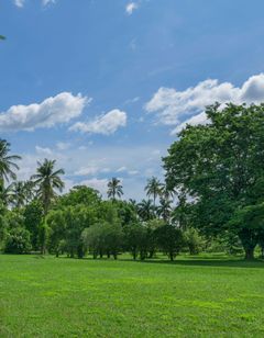 Kahavadi Chiang Rai, Curio Collection