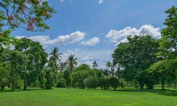 Kahavadi Chiang Rai, Curio Collection