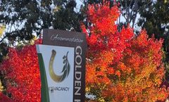 Golden Heritage Motor Inn & Cottages