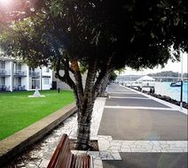 Zorba Waterfront Motel Exterior