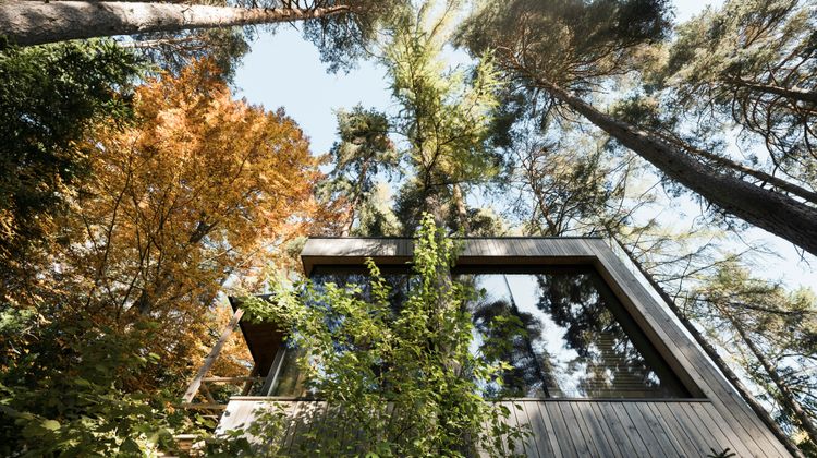 Adler Lodge Ritten Recreation