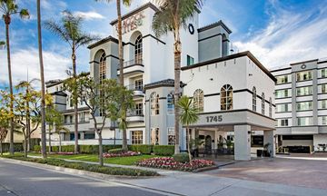 Peacock Suites