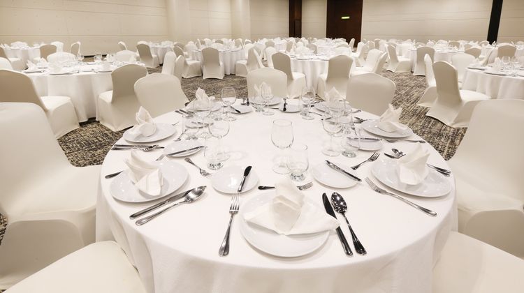 Holiday Inn Buenavista Ballroom
