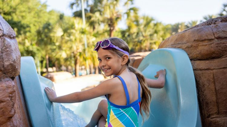 Walt Disney World Dolphin Recreation