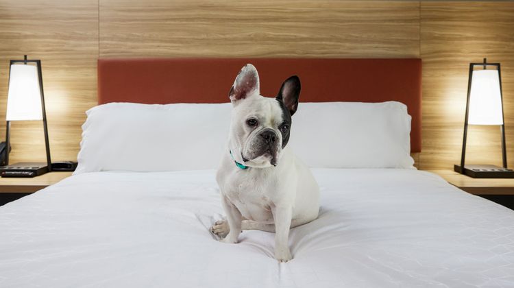 Candlewood Suites Greenwood Village–DTC Other