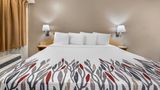<b>Red Roof Inn Chicago - Joliet Room</b>. Images powered by <a href="https://www.leonardoworldwide.com/" title="Leonardo Worldwide" target="_blank">Leonardo</a>.