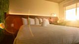 The Alice Hotel Suite