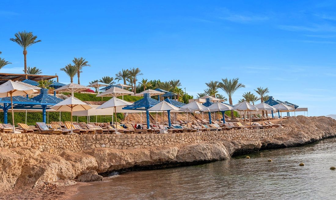 AA Grand Oasis Other