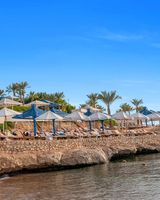 AA Grand Oasis