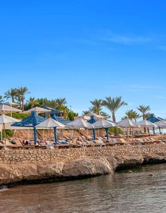 AA Grand Oasis
