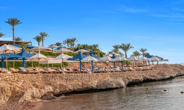 AA Grand Oasis